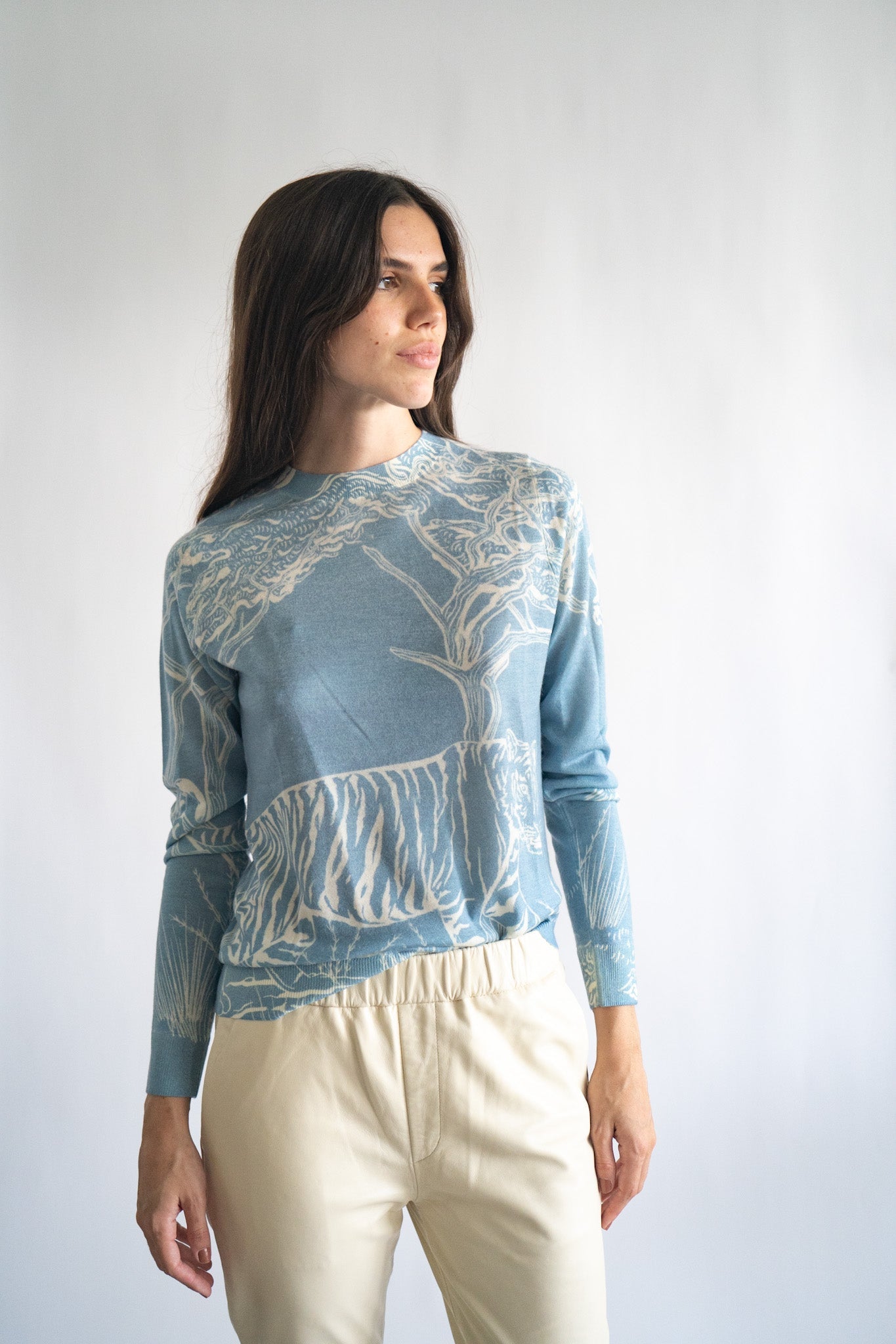Sweater Cashmere Safari Celeste